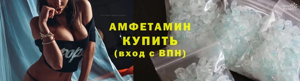 крисы Козловка