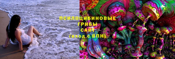 сатива Кодинск
