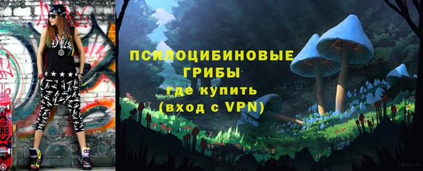 крисы Козловка