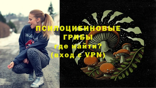 мдма Козельск