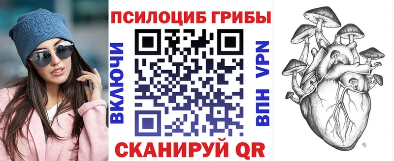 Купить где  Беслан  Псилоцибиновые грибы GOLDEN TEACHER 