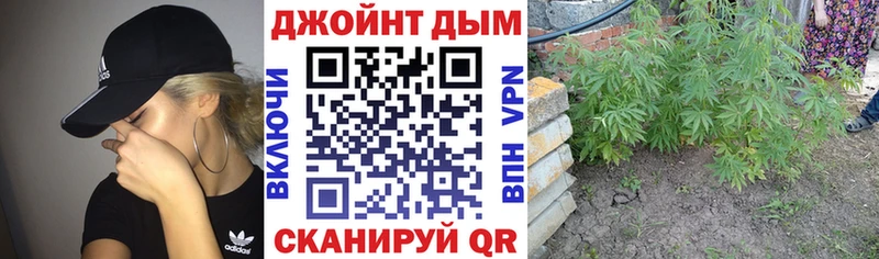Купить  Беслан  Канабис ГИДРОПОН 